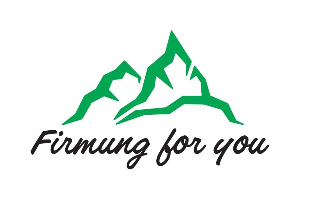 Logo Firmung for You