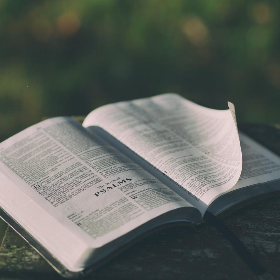 Psalmen