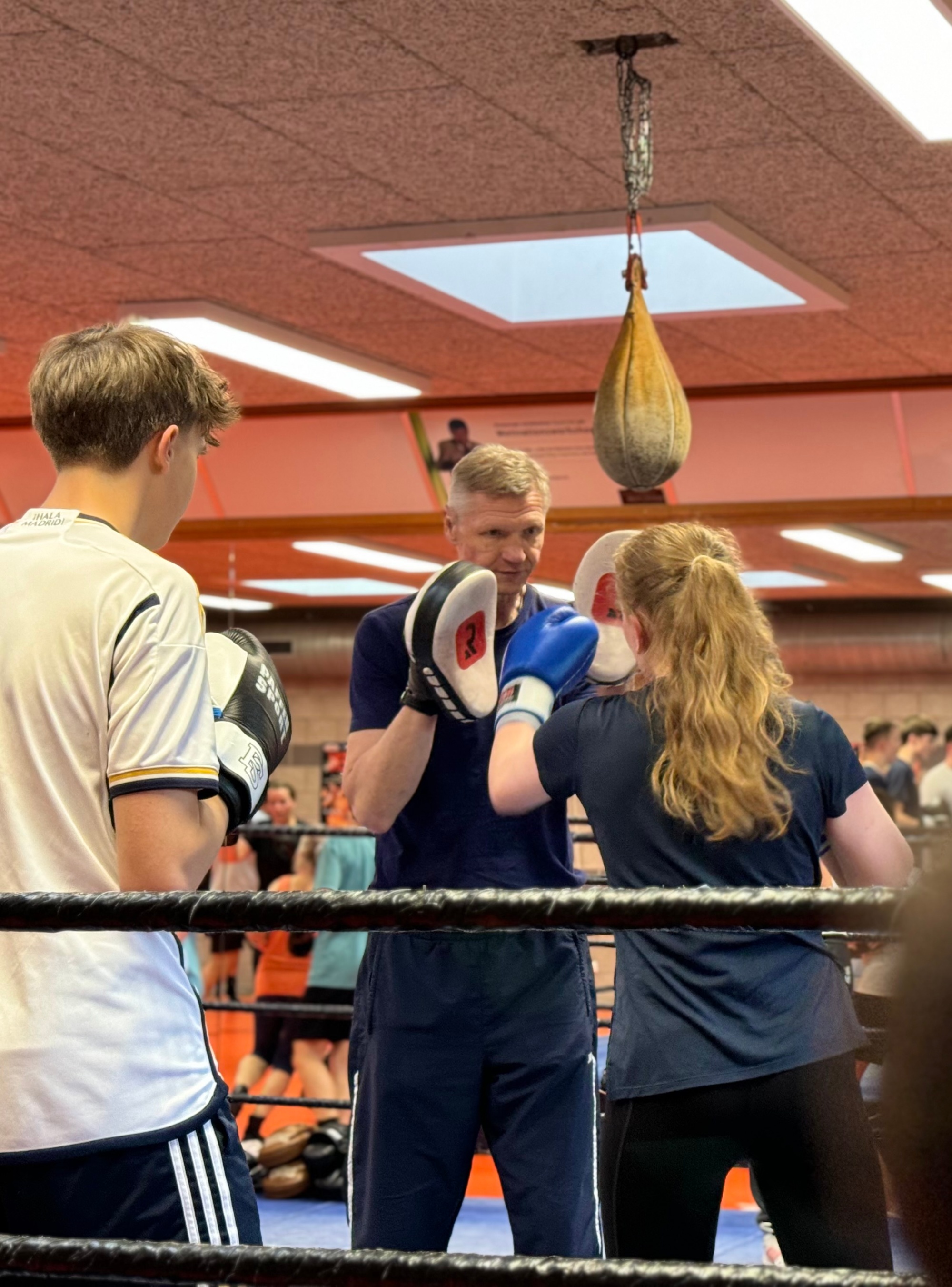 Boxen 1