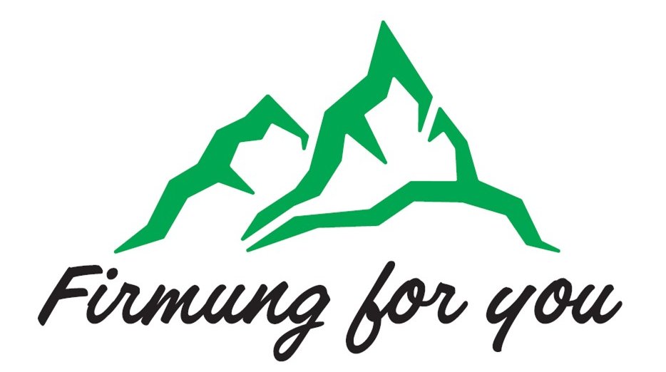 Logo Firmung for You (c) y²
