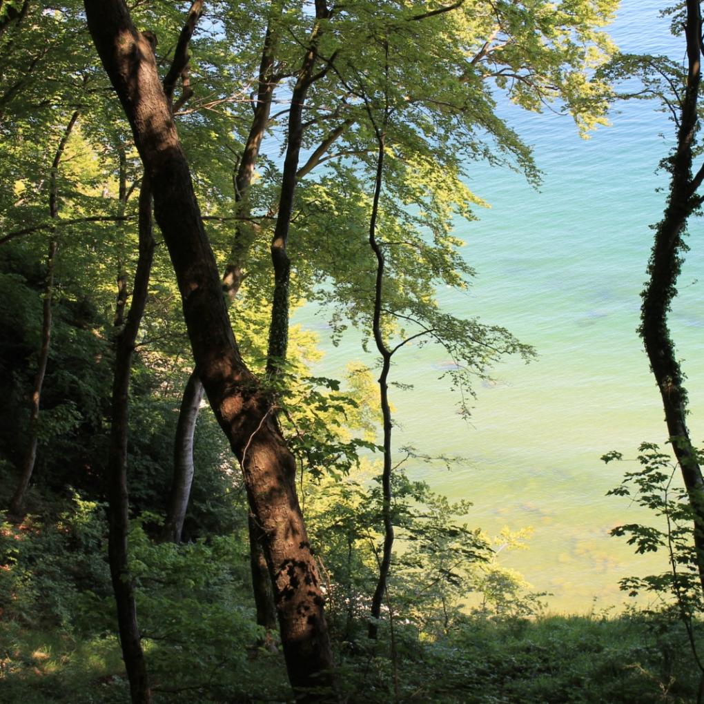 Ostseeküste Erzbistum Köln (c)Corinna Lück vom Kreidefelsen aus gesehen Ex-Bild-DB-ID: 23581